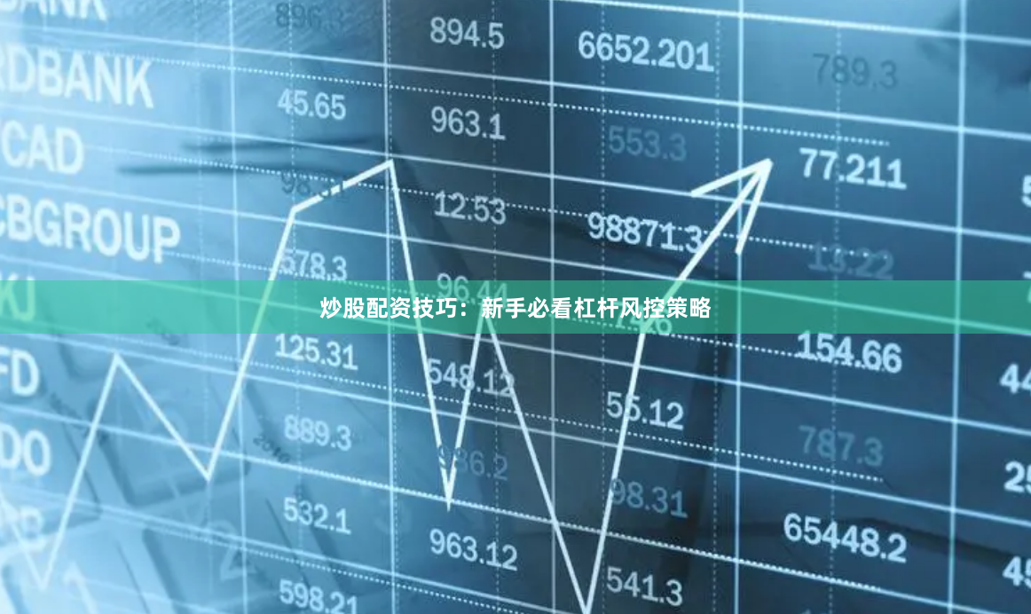 炒股配资技巧：新手必看杠杆风控策略